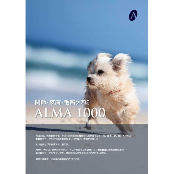 画像2: アルマ1000　5袋セット　マリンコラーゲン　ALMA 1000 Collagen  ペット用 (2)