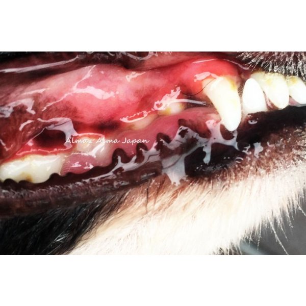 アルマダイヤモンドで綺麗にした後は、毎日アルマクリスタルをスプレーしてケアしましょう。